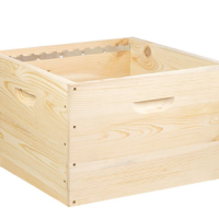 CORPS BOIS DADANT 12 CADRES