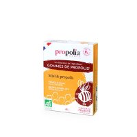 GOMMES DE PROPOLIS ET MIEL BIO 45G