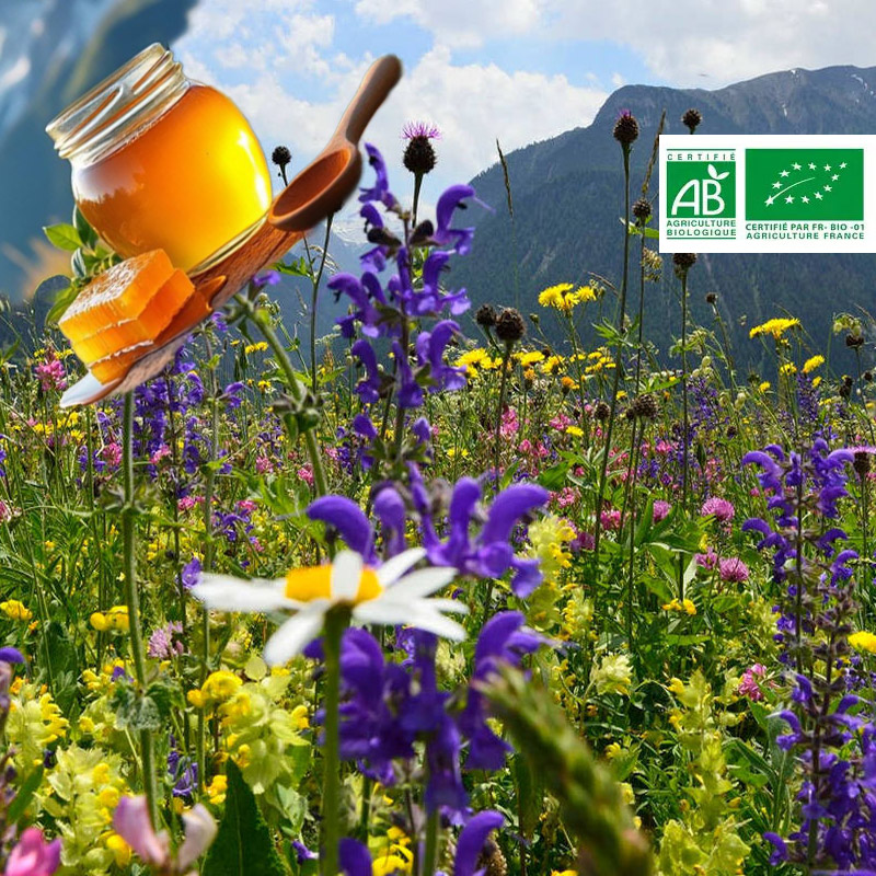MIEL EN GROS MONTAGNE BIOLOGIQUE*