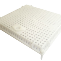 CAGE A REINE D'INTRODUCTION NICOT