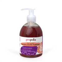 SAVON LIQUIDE MAINS PURIFIANT PROPOLIS-ROMARIN 300ML