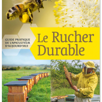 LIVRE : LE RUCHER DURABLE