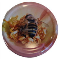 (SUR COMMANDE) CARTON DE 750 CAPSULES TO82 ROSE ET ABEILLE