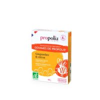 GOMMES DE PROPOLIS BIO CITRON-GINGEMBRE-AGAVE 45G